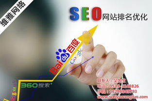 臨淄優化 優化技術 維雅網絡 認證商家 高清圖片 高清大圖